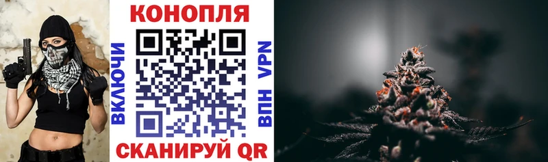 Где найти наркотики Нижний Тагил Конопля  Псилоцибиновые грибы  ГАШИШ 