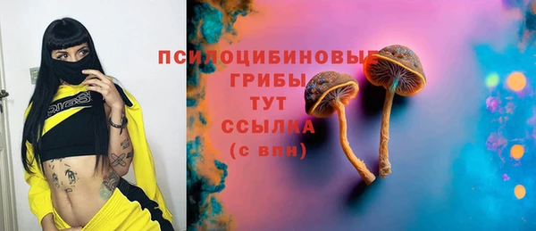 молекула духа Липки